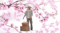 CMカット1