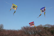 地域住民・大学生・教職員みんなで楽しんだ凧フェス。