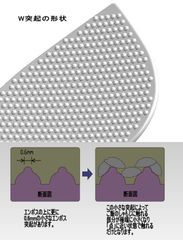 W突起の形状説明