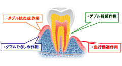 作用イメージ図