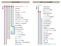 kmフラワーバス路線図