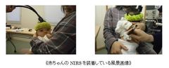 赤ちゃんのNIRSを装着している風景画像