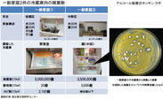 冷蔵庫内の雑菌数