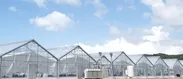 NKアグリ株式会社　太陽光型植物工場