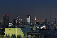 東京タワーも見える現地からの夜の眺望