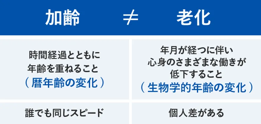 イラスト1