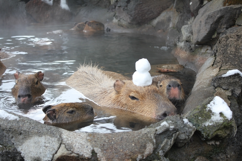 NHK総合を常に実況し続けるスレ 129486 朝まで生テレビ©2ch.net	->画像>39枚 