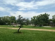 大阪城公園内 大手前芝生広場
