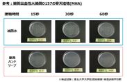 参考：腸管出血性大腸菌O157の寒天培地(MHA)