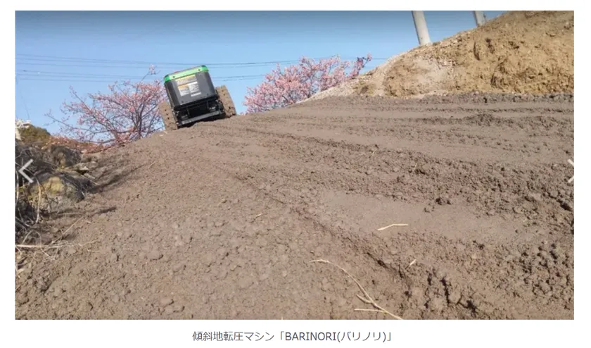 前回記事写真