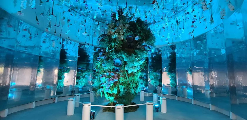 BOTANICA MUSEUM
