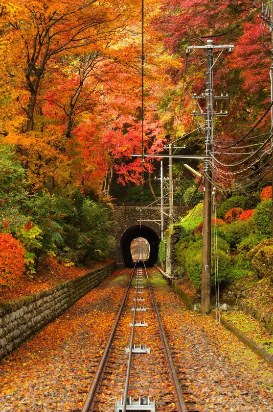 高尾山の紅葉