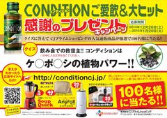 キャンペーンチラシ 裏