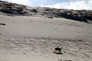 月面に見立てた砂丘を走行するMoonraker