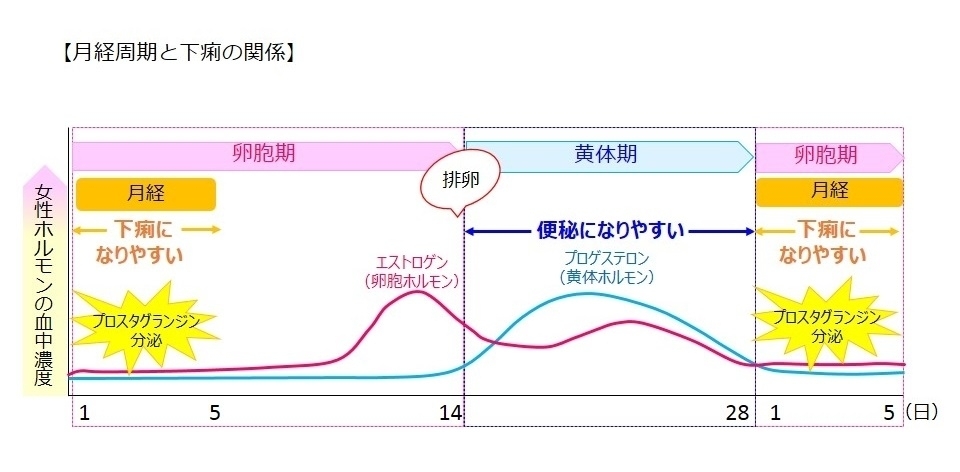 期 下痢 排卵 経験例54 過敏性腸症候群