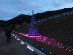 石川県輪島・白米千枚田で「まれ」挿入歌の小林未郁がスペシャルライブ　「あぜのきらめき」クリスマス特別イベント開催！