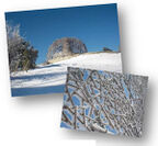 （上）冬景色：自然体感展望台 六甲枝垂れ／（下）自然体感展望台 六甲枝垂れの樹氷
