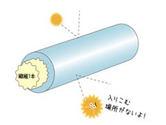 ご注文いただいた衣類のなかからアウターを選別し、“自動”で花粉対策！　新プラン『花粉ガード加工コース』の受け付けを開始　～2016年の花粉対策トレンドは、花粉を自宅に“持ち込まない”～