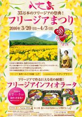 「八丈島フリージアまつり」50周年記念「フリージア・インフィオラータ2016 in八丈島」2016年4月2日・3日開催