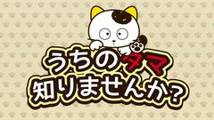 ネコやイヌたちの楽しげな生活を描いた『タマ＆フレンズ ～うちのタマ知りませんか？～』が前作から22年ぶりにアニメ制作決定！