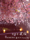 春を先取り！桜とイルミネーションのコラボ『吉祥寺　夜桜 @SUN Tama Bar』　3月1日にスタート　店内を5,000輪の桜＆2,000球のイルミが演出