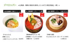 デベロッパー限定商品一例