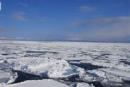 宿からのオホーツク海流氷