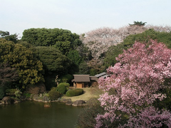 本館北側庭園風景