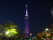 福岡タワー、夜空に桜の花びらが舞い踊る「桜イルミネーション」を3月18日～4月10日まで点灯