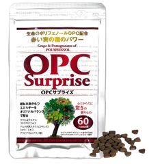 ポリフェノールの王様OPCサプリメント～4月1日オンラインにて販売開始～