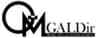 株式会社GALDir Mediaのロゴ