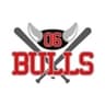 独立リーグ「06BULLS」のロゴ