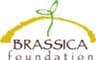 ブラシカ基金 日本事務局のロゴ