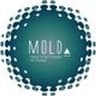 MOLD Foundation Ltd.のロゴ