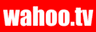 wahoo.tv(有限会社ジブトリマーズ)のロゴ