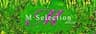 有限会社Mセレクションのロゴ
