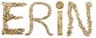 ERINのロゴ