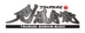一般社団法人国際護身武道連盟　剣護身術のロゴ