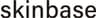 株式会社skinbaseのロゴ