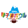甲子園ボウル実行委員会のロゴ
