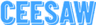 株式会社CEESAWのロゴ