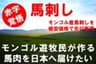 株式会社キーシアのロゴ
