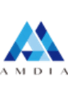 株式会社AMDIAのロゴ