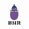 一般社団法人BNRのロゴ
