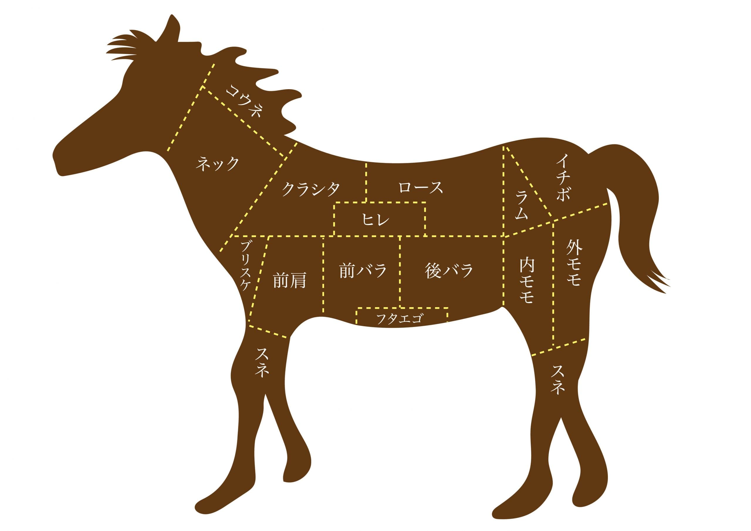 馬肉を食べる習慣を始めませんか？馬肉を食べるメリットとデメリットを解説！
