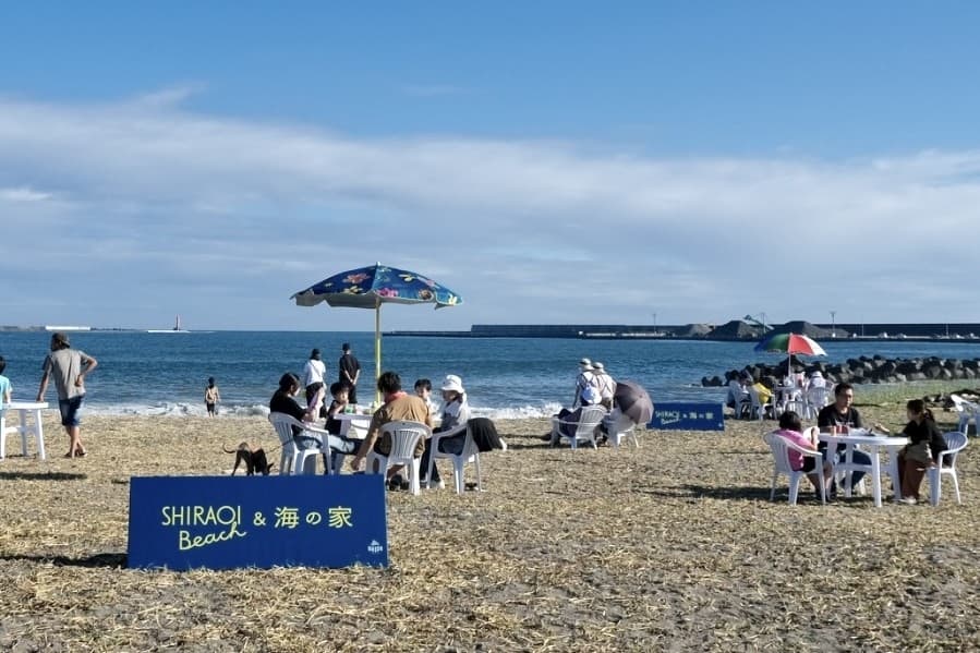 白老港「SHIRAOI BEACH と海の家」2年目開催決定、日本財団「海と日本PROJECT」採択