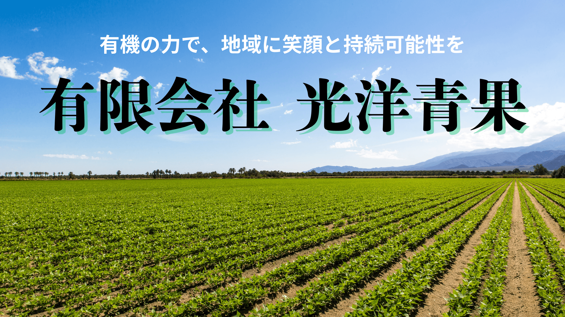 有限会社光洋青果