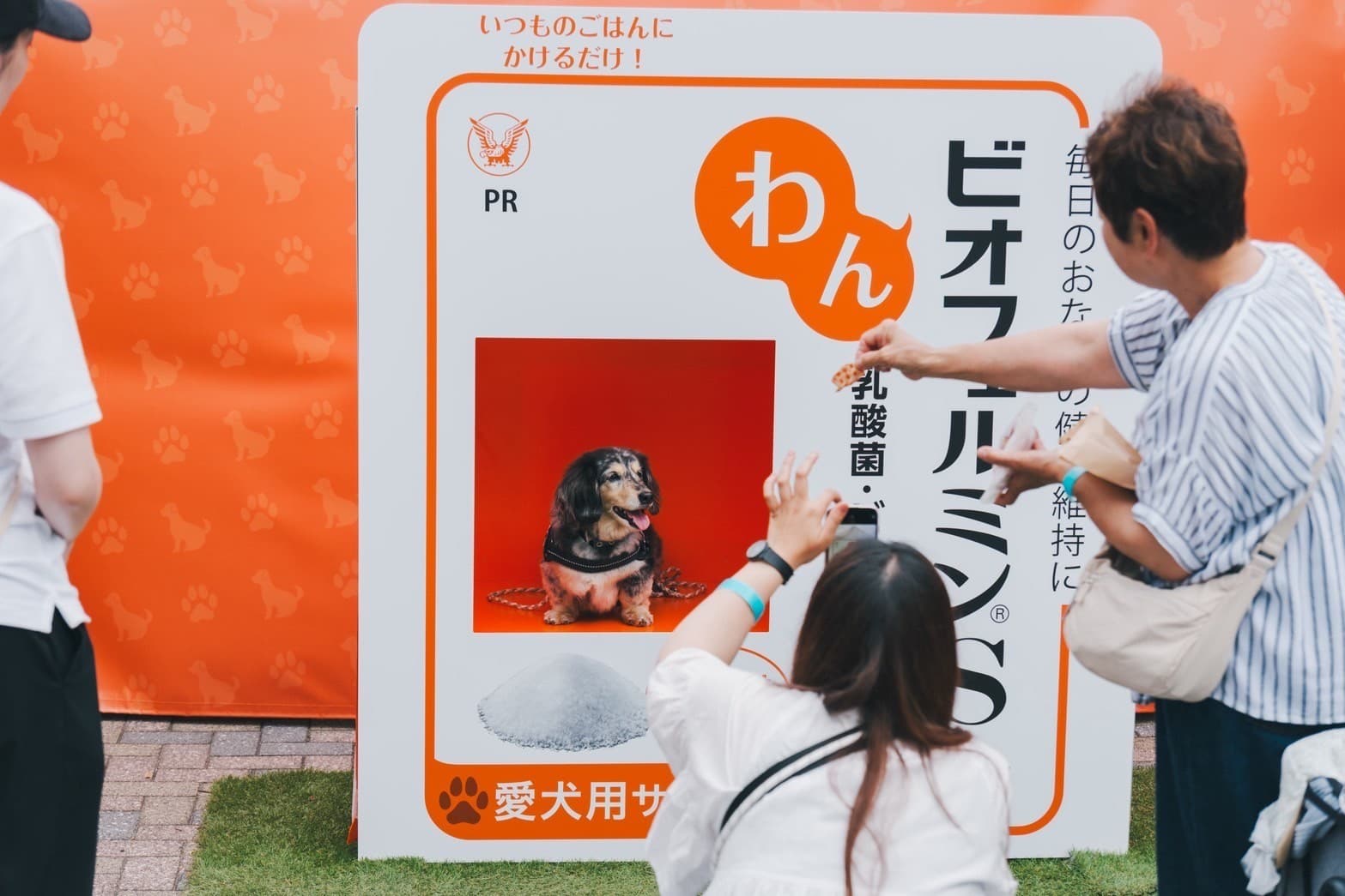 「わんビオフェルミンS」をジャパンわんこフェスタ2025秋inお台場に出展