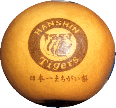 阪神タイガース日本一まちがい梨　出荷開始