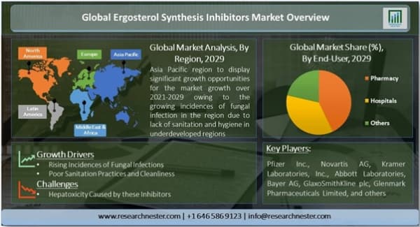 エルゴステロール合成阻害剤市場ー薬剤タイプ別（フルコナゾール、ミコナゾール、イトラコナゾール、クロトリマゾール、その他）；投与経路別;エンドユーザー別-世界の需要分析と機会の見通し2030年